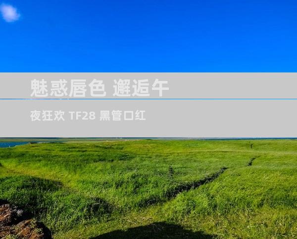魅惑唇色 邂逅午夜狂欢 TF28 黑管口红